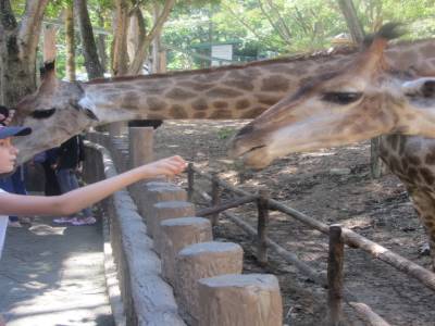 zoo