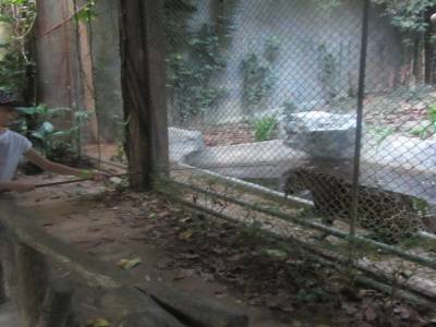 zoo