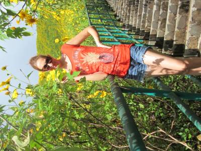 tournesol mexicain