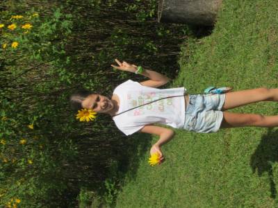 tournesol mexicain