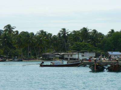 Kohmook