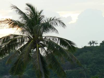 Kohtao
