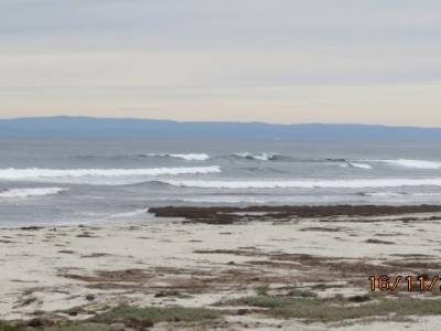 monterey bay ,californie,usa