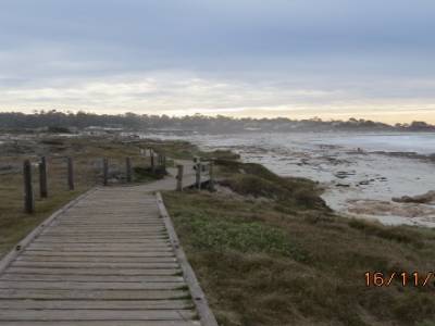 monterey bay ,californie,usa