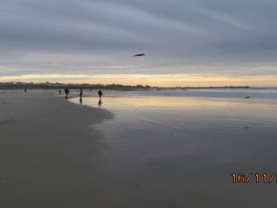 monterey bay ,californien,usa