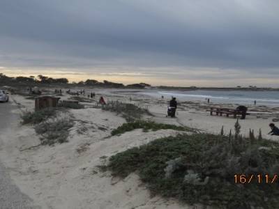 monterey bay,californie,usa 