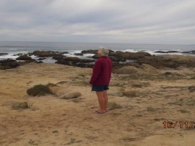 monterey bay,californie,usa 