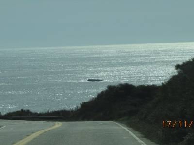 route 1 entre monterey bay et san luis d'obispo,californie,usa