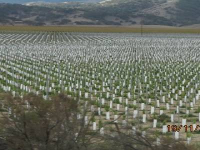 santa paula ,californie,usa