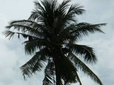 KohTao