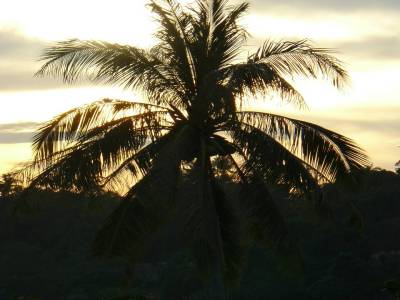 KohTao