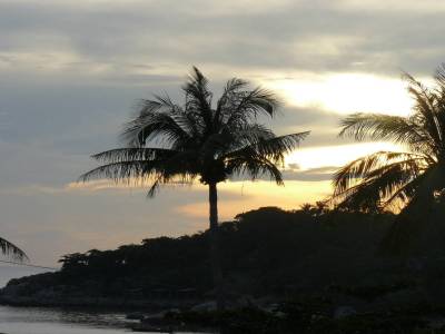 KohTao