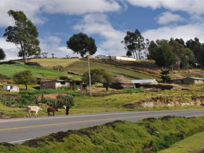 Nariz del Diablo
