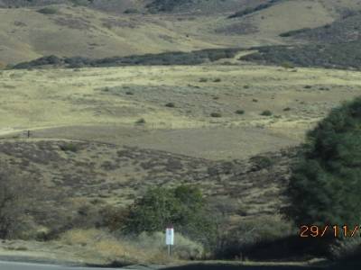 angeles,national forest ,californie,usa