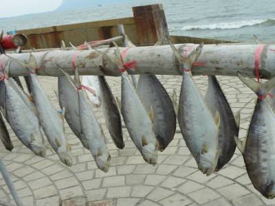 Prachuap