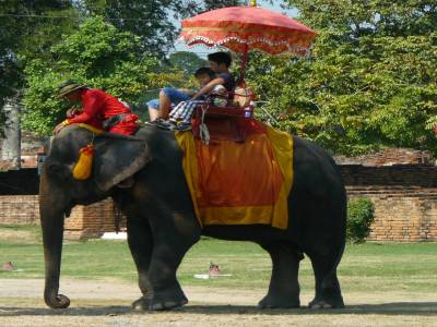 Ayuttaya