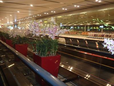 Aéroport de Singapour