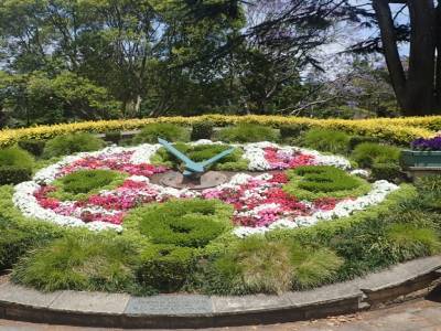 Albert Park
