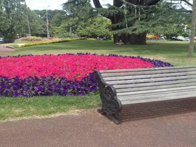 Albert Park