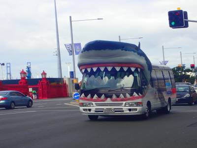 Navette pour l'aquarium
