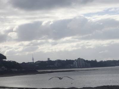 St Heliers