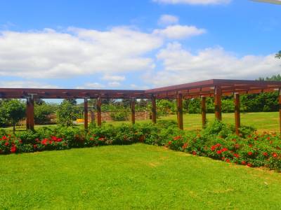 Botanic Garden