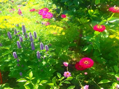 Botanic Garden
