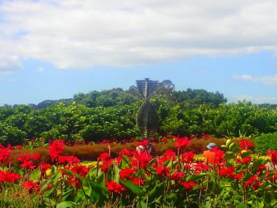 Botanic Garden
