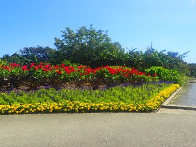 Botanic Garden