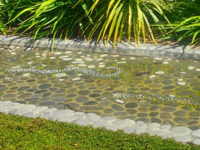 Botanic Garden