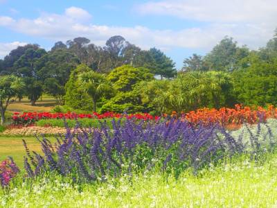 Botanic Garden