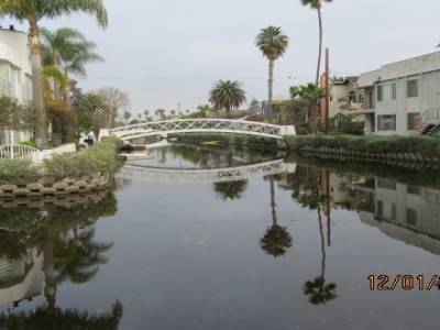 venice,californie,usa