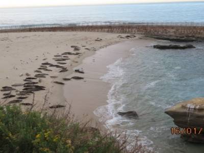 la jolia,californie,usa