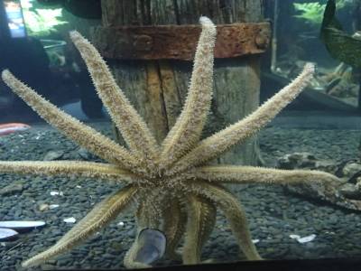 Aquarium