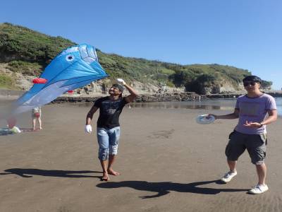 On the beach