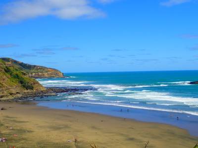 Muriwai Bay