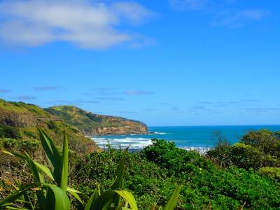 Muriwai Bay