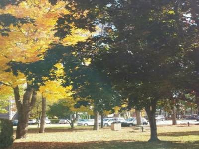 l automne
