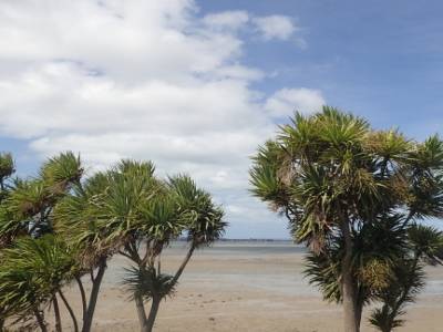 A la plage !