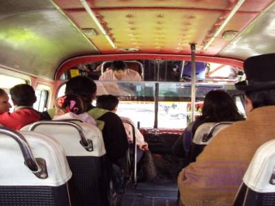 dans le bus