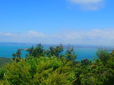 Rangitoto Island