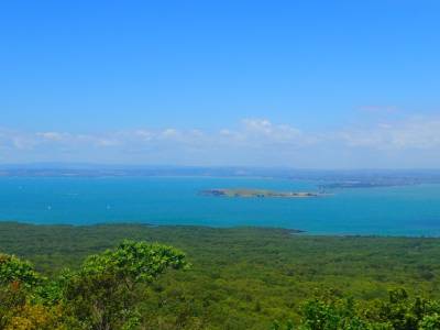 Rangitoto Island