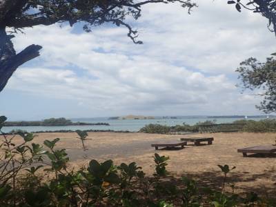 Rangitoto Island