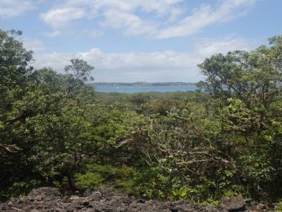 Rangitoto Island