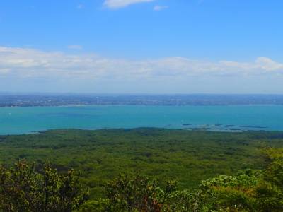 Rangitoto Island