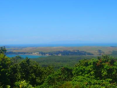 Rangitoto Island