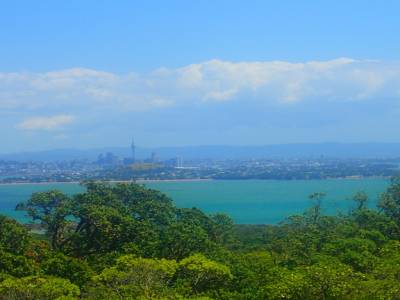 Rangitoto Island