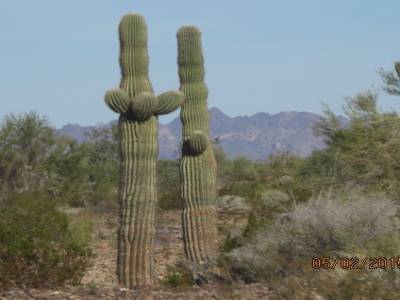 yuma,arizona,usa