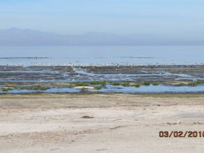 salton sea,californie,usa
