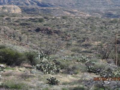 phoenix, route des appaches, arizona,usa 